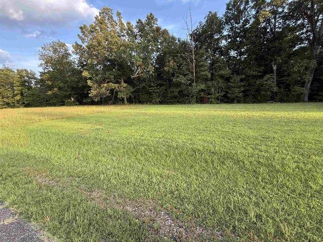 Land for sale in Middleton, West Tennessee