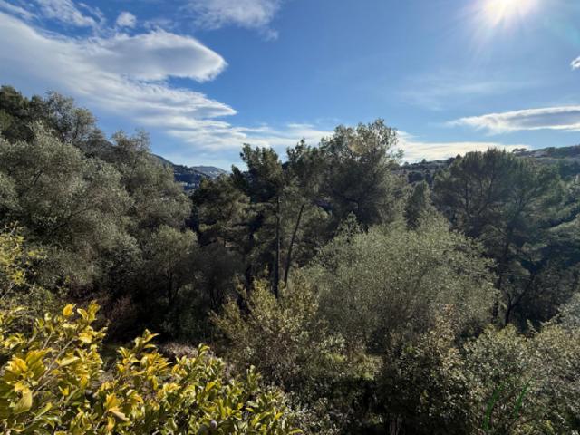 Maison vente à Nice, Falicon