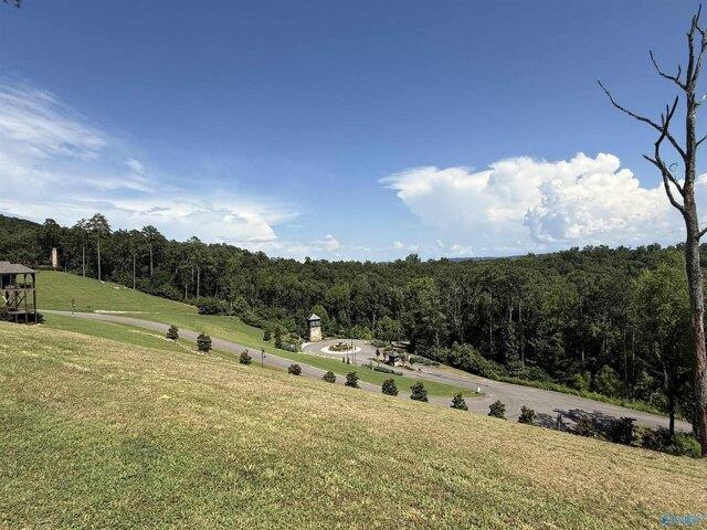 Land for sale in Guntersville
