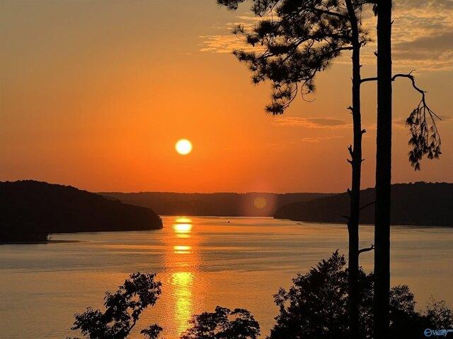 Land for sale in Guntersville Land for sale in Guntersville