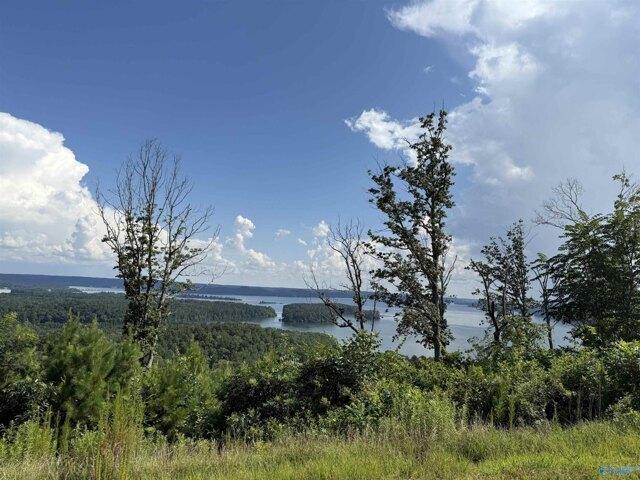 Land for sale in Guntersville