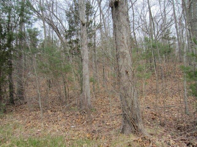 Land for sale in Killingly, Northeastern Connecticut Planning Region