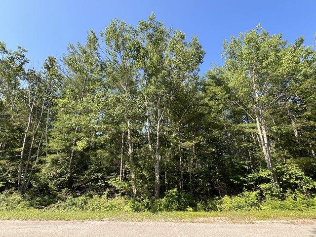 Land for sale in Presque Isle, Michigan
