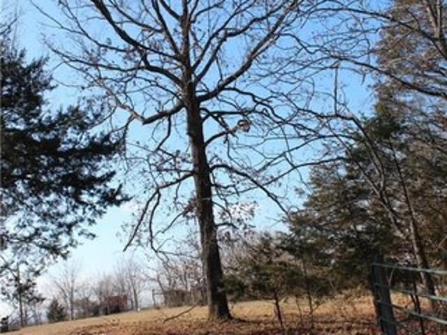 Land for sale in Ark