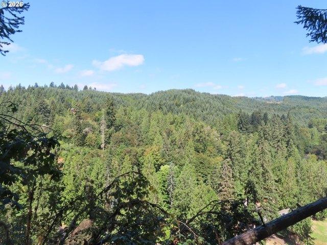 Land for sale in Kalama, Cowlitz County