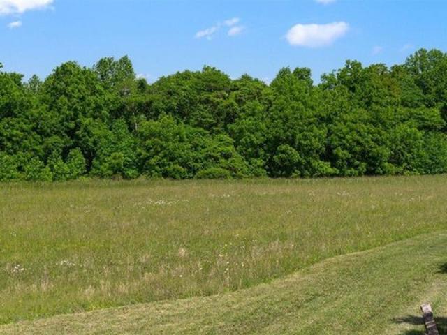 Land for sale in Bonnieville, Kentucky