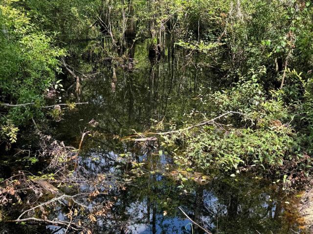 Land for sale in Florida