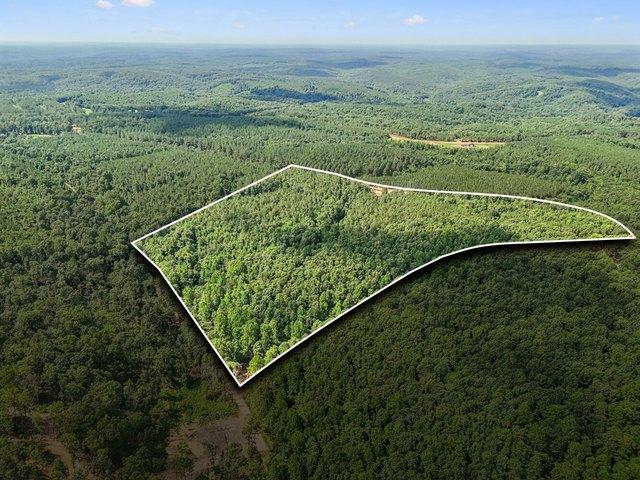 Land for sale in Tennessee