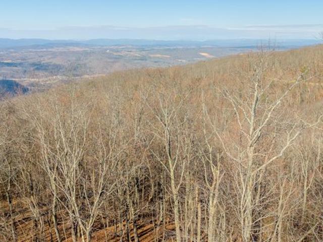 Land for sale in Caldwell, Greenbrier County