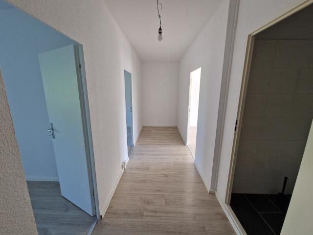 Apartment mieten in Hohenstücken, Brandenburg