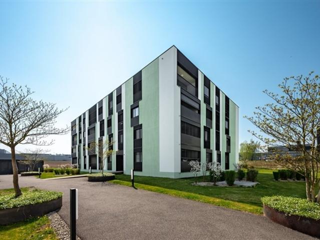Wohnung mieten in Bülach, Zürich