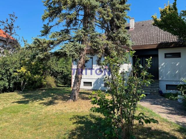 Einfamilienhaus kaufen in Siegendorf, Burgenland