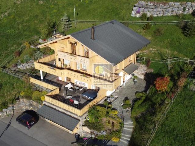 Haus kaufen in Leysin, Waadt