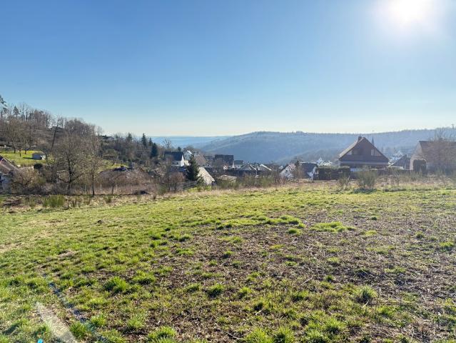 Erdgeschosswohnung mieten in Winden, Rheinland-Pfalz