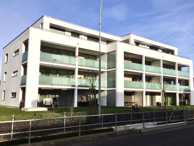 Immobilie mieten in Langnau b. Reiden, Reiden