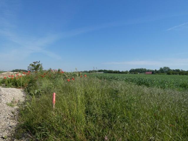 Grundstück kaufen in Gattendorf, Burgenland