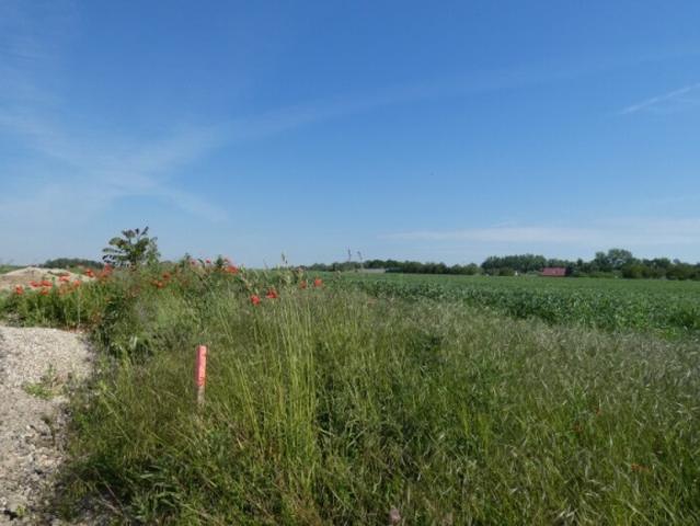 Grundstück kaufen in Gattendorf, Burgenland
