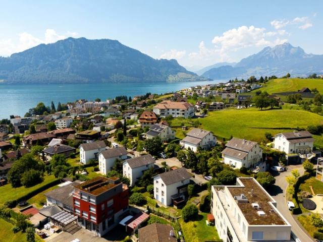 Einfamilienhaus kaufen in Weggis, Lü