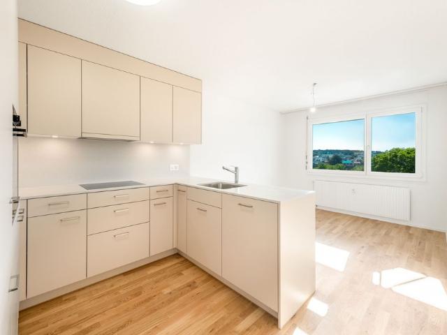 Apartment mieten in Glockengut, Schaffhausen