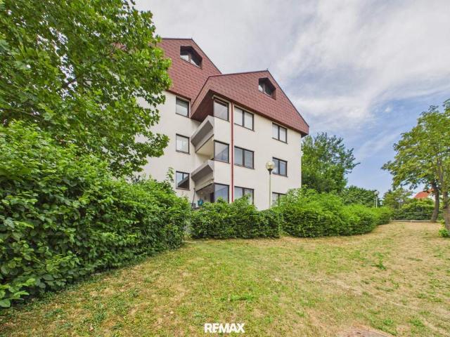 Wohnung kaufen in Mattersburg, Burgenland