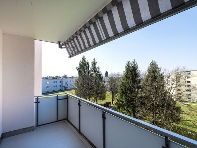 Apartment mieten in Berikon