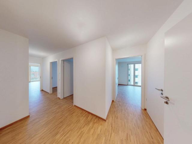 Wohnung mieten in Thalkirchen-Obersendling-Forstenried-Fürstenried-Solln, München
