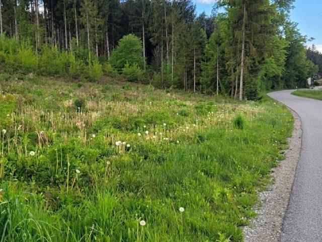 Immobilie kaufen in Göriach, Kärnten