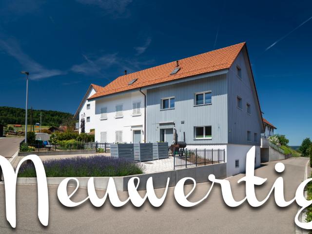 Reihenfamilienhaus kaufen in Buch Am Irchel, Zürich