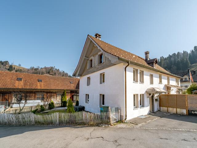 Haus kaufen in Fischenthal, Zürich
