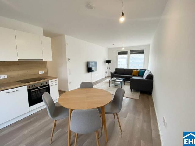 Wohnung mieten in Tulln an der Donau, Niederösterreich