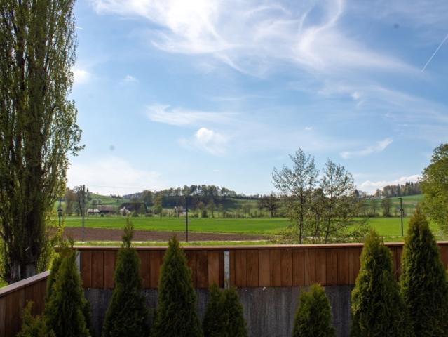 Einfamilienhaus kaufen in Herzogenbuchsee, Bern