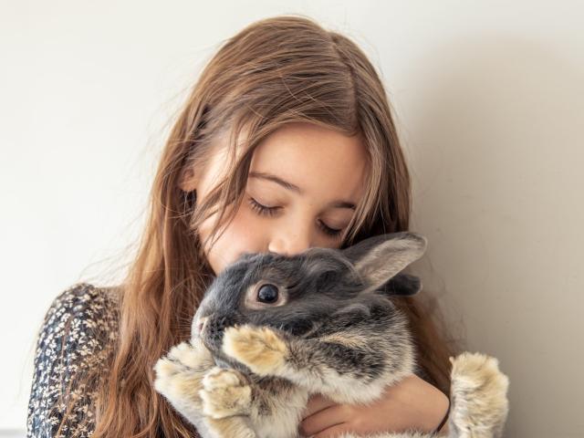 Haus kaufen in Nienstädt, Niedersachsen