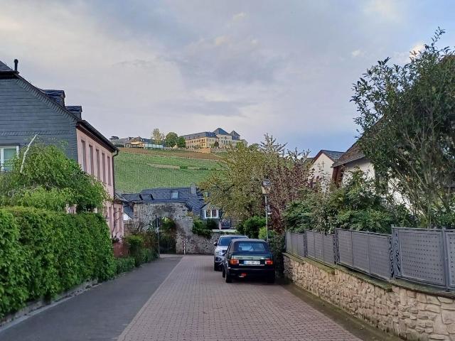 Doppelhaushälfte kaufen in Geisenheim, Rheingau-Taunus-Kreis