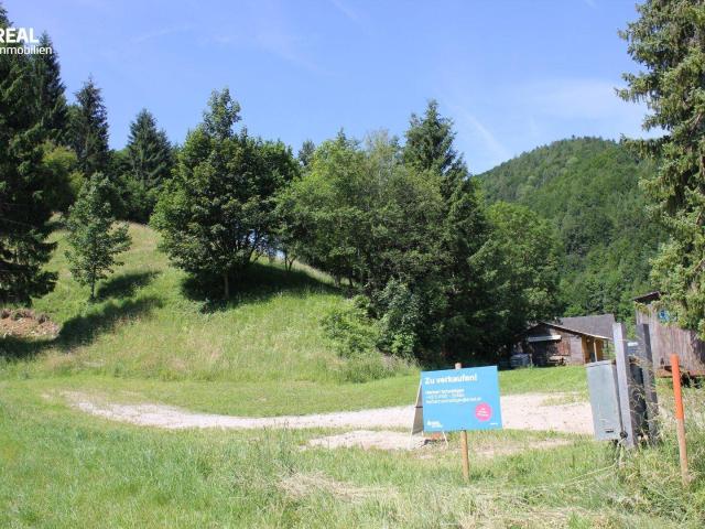 Immobilie kaufen in Niederösterreich