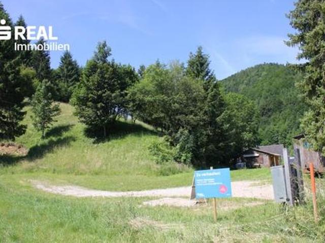 Grundstück kaufen in Gresten, Niederösterreich