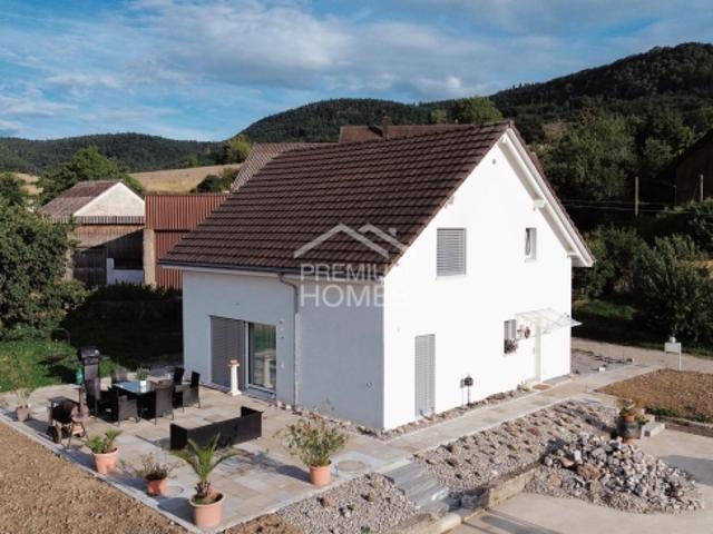 Einfamilienhaus kaufen in Schaffhausen
