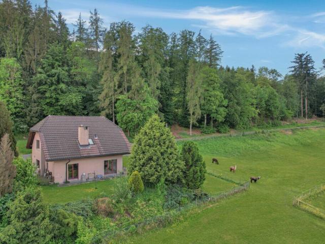 Einfamilienhaus kaufen in Schüpfen, Bern