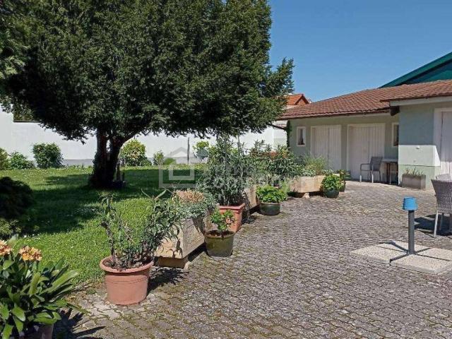 Haus kaufen in Oggau, Burgenland