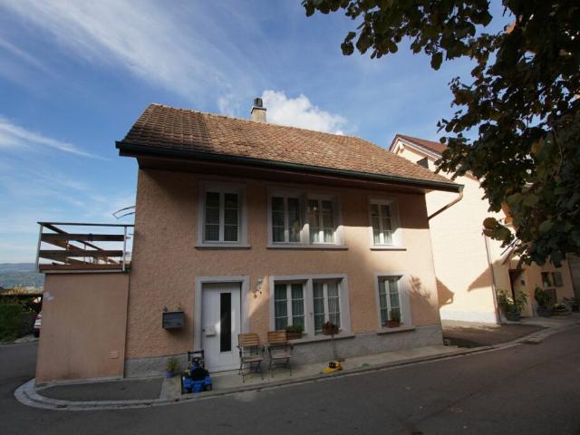 Einfamilienhaus kaufen in Leibstadt, Aargau