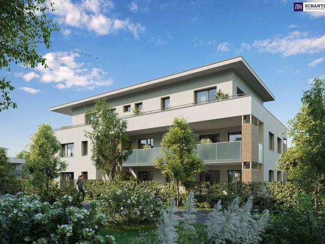 Apartment kaufen in Liebenau, Gersdorf-Feistritz