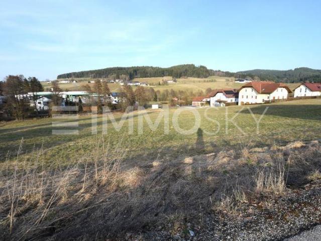 Immobilie kaufen in Reichenau im Mühlkreis, Oberösterreich