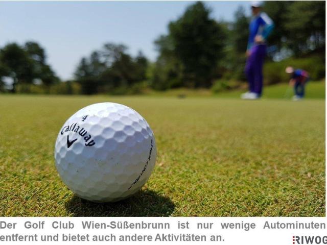 Apartment kaufen in Gerasdorf bei Wien, Gerasdorf