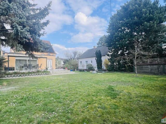 Haus kaufen in Gerasdorf, Niederösterreich