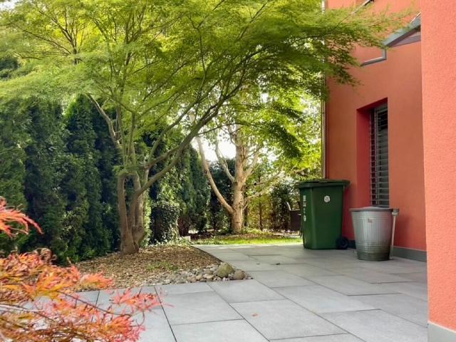 Einfamilienhaus kaufen in Wädenswil, Zürich