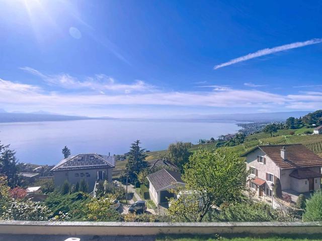 Einfamilienhaus kaufen in Bourg-en-Lavaux, Waadt