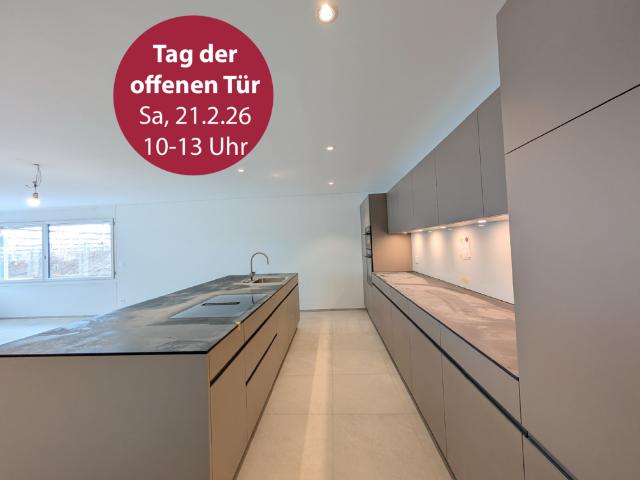 Immobilie kaufen in Aesch (ZH), Zürich