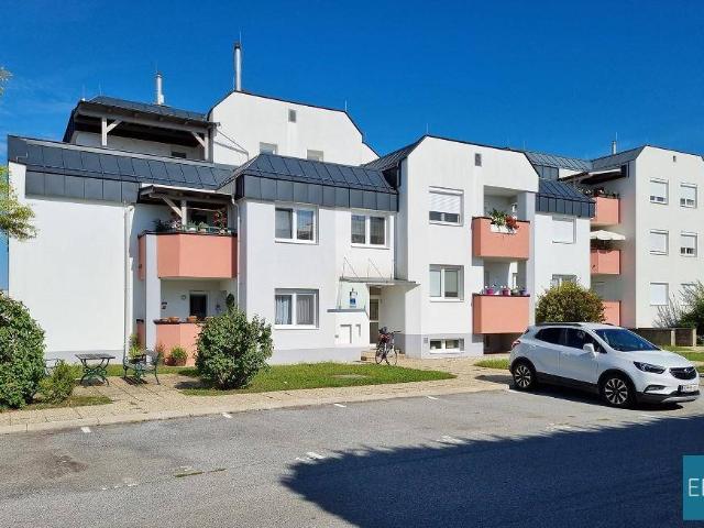 Apartment mieten in Frauenkirchen, Bezirk Neusiedl am See