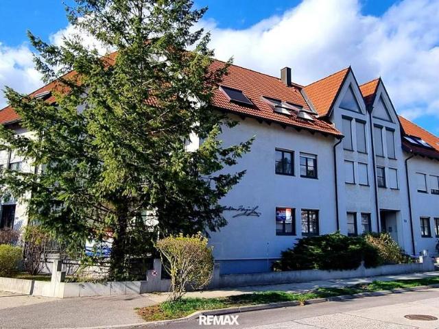 Wohnung kaufen in Gänserndorf, Niederösterreich