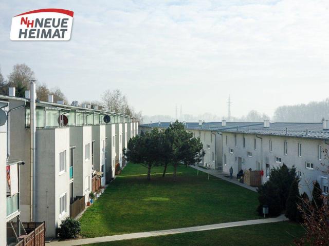 Apartment mieten in Mauthausen, Bezirk Perg