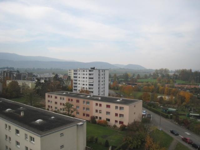 Wohnung mieten in Therwil, Basel-Landschaft